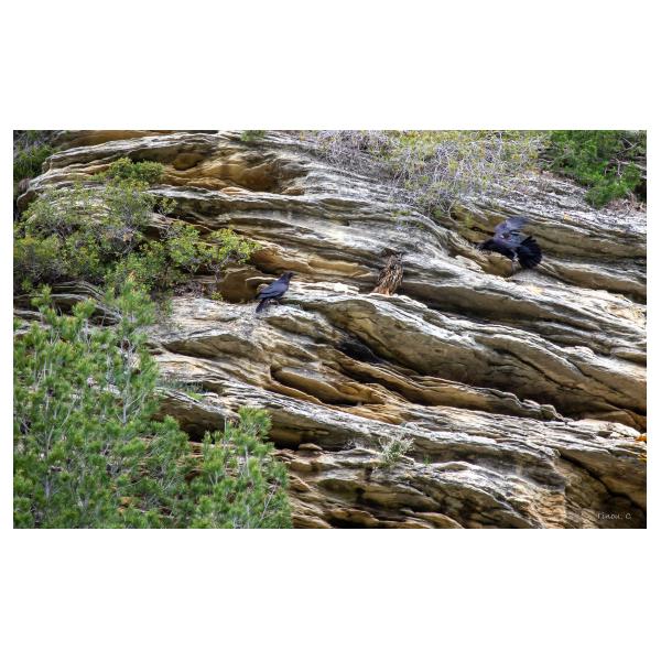 PHOTO84, CLUB, 84 , LUBERON